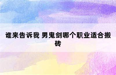 谁来告诉我 男鬼剑哪个职业适合搬砖